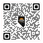 Nvscqr code sticker